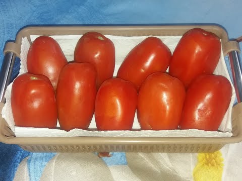 How to Store Tomatoes for Long Term Use