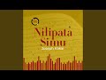 Nilipata Simu 