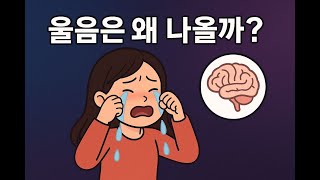 우리는 왜 울까? | 감정과 뇌, 그리고 눈물의 과학