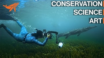 SeaLegacy: Storytelling at the intersection of art, science, and conservation