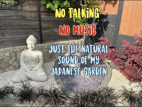 The Sound Of My Japanese Garden