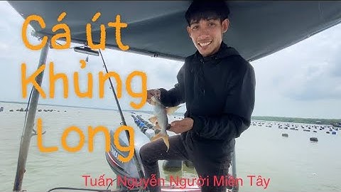 Cá ngát,cá Sửu, cá út…đi câu đầu con nước là cá to ,câu cá thiên nhiên ở cửa biển rừng sát cần giờ..