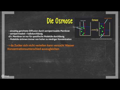 Video: Hoe beïnvloed Plasmolise plantselle?