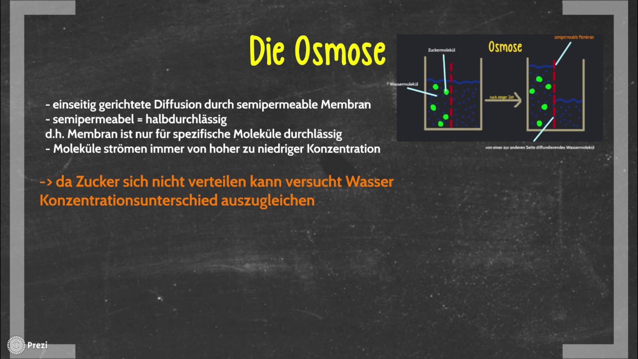 How to Diffusion und Osmose YouTube How to Diffusion und Osmose YouTube