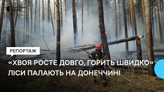 У природному парку "Святі гори" на Донеччині гасять пожежі через російські обстріли: які наслідки