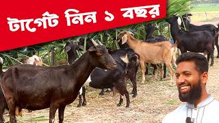 সেরা প্রতিবেদন সেরা পরামর্শ এই বিষয় গুলো জানলে সফলতা আসবেই ইনসআল্লাহ | Goat Farm | Rakhal Bondhu