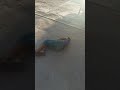 مروڤ ممممممممم