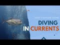 How to dive in currents  diving tips  tricks