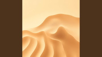 Numbers Don’t Lie, But People Do