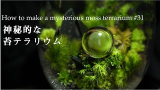 神秘的な苔テラリウムの作り方【水晶玉を使ったレイアウト】#31｜How to make a mysterious moss terrarium #31