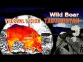 Wild Boar hunting in Tadjikistan / 2022
