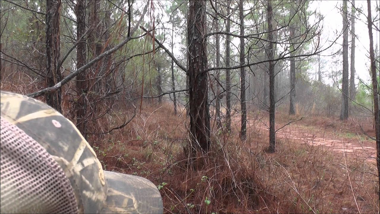 2015 Middle Youth Turkey Hunt with KnockOut Custom Calls YouTube