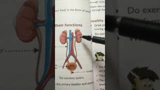 Excretory system(4th science)