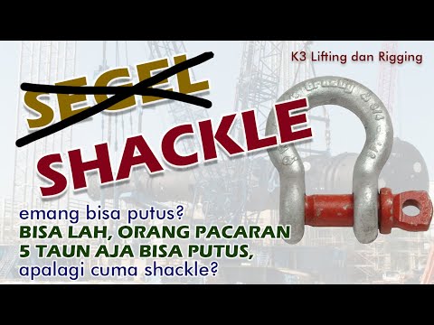 Video: Jenis segel. Ada berapa jenis segel?