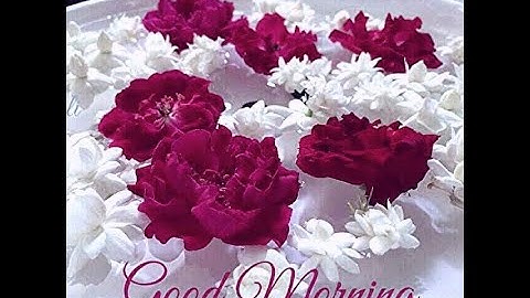 hire purchase system  default in payment and repossession