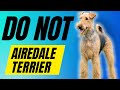 7 reasons you should not get a airedale terrier