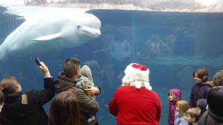 Juno the Whale and Santa with a Sax