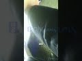 Hit and Run Suspect Gets Caught After Blaming Diabetes