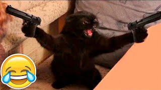 Pet Funny Videos - Petopia - Episode 6