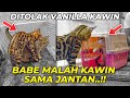 BABE UDAH GA TAHAN.. SEMUA KUCING DISIKAT..!