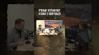 На пальцах 16.02.18 \ Груминг и выживаемость раненых муравьев #наука #shorts