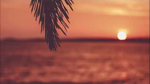 تلاوة شجية تلامس القلوب عطر مسامعك -  مريم من الآية 41 إلى 65