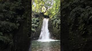 Azores - Trilho do Sanguinho waterfall hike
