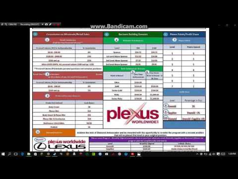 Plexus Compensation Plan Chart