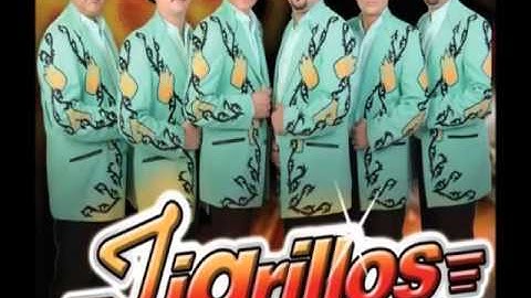 tigrillos - son tus perjumenes mujer