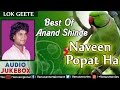Best of anand shinde  naveen popat ha  best marathi lokgeete  audio