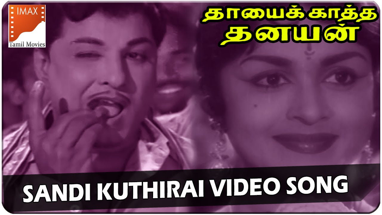 Sandi Kuthirai Video Songs  Thayai Katha Thanayan Movie  MGR B Sarojadevi  South Video Songs