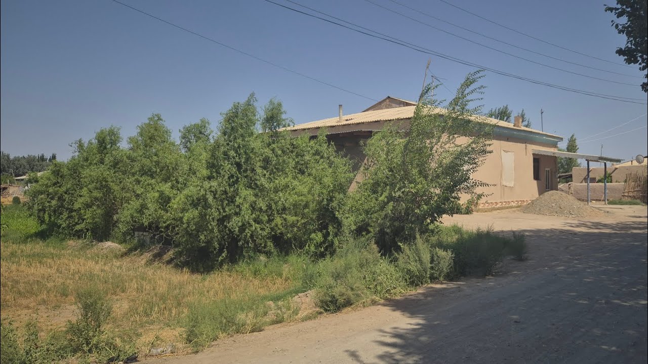 BIYBOZOR OFY DA JOY KELISHLGAN NARXDA SOTILADI