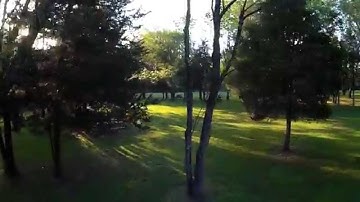 FPV in the trees - QAV250