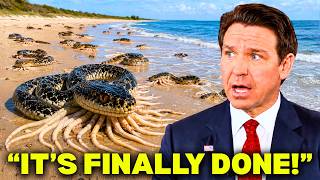 Actual Footage From Florida’s Anti-Python Project Reveals the Aftermath NOBODY Expected
