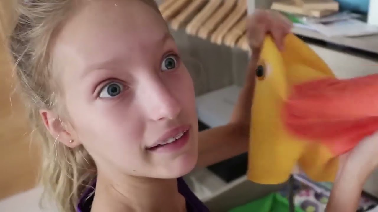 SIS vs BRO! SIS vs BRO House Tour!