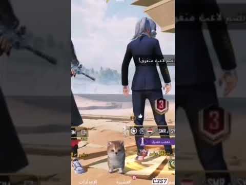 هدول التنين إذا اجتمعو