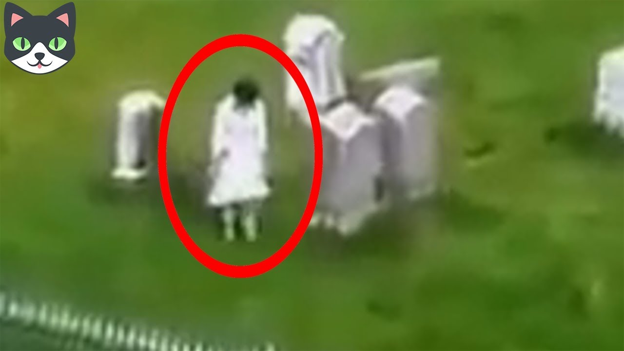 curiosidades que no sabias del cuerpo humano 7 COSAS MÁS EXTRAÑAS CAPTADAS EN CEMENTERIOS | VIDEOS PARANORMALES REALES