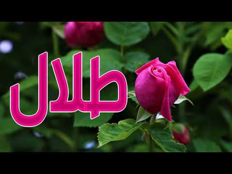 معنى اسم طلال وصفات من يحمل هذا الاسم