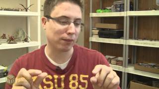 Making Money with your Hobby: Part 5 - Using Forums