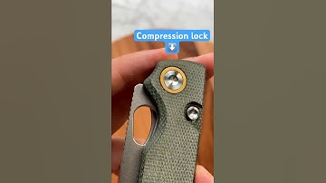 Excellent Vosteed Porcupine