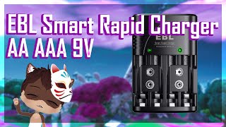 EBL Smart Rapid Charger for AA AAA 9V batteries