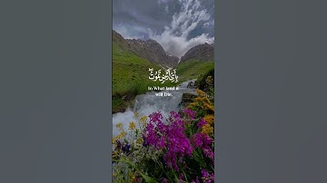 وما تدري نفس ماذا تكسب غدا [لقمان: ٣٤] القارئ #نعمة_الحسان
