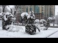 Алматы. Зима в нашем городе. Almaty. Winter