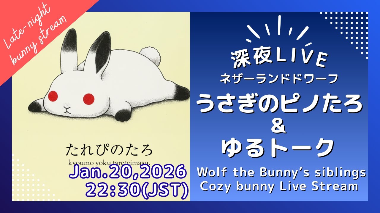 深夜LIVE】うさぎのまったり部屋んぽタイム｜静かな夜の癒し配信 2026