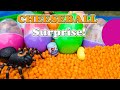 What is in  Funny Paw Patrol Surprise Eggs Opened by The Assistant