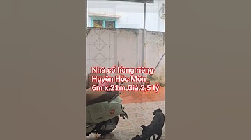 Nhà giá ngộp siêu rẻ 123 M² Giá 2,5 tỷ - Bđs Quang Minh Official