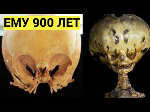 Нашу Историю пора ПЕРЕПИСАТЬ. 4 Удивительные находки археологов