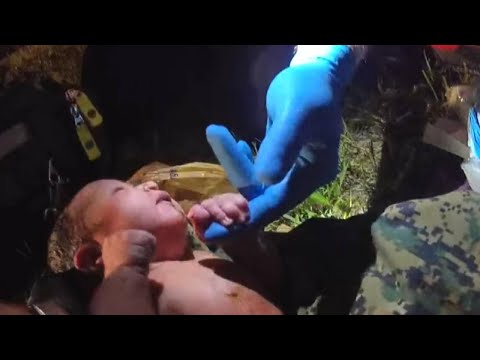Wideo: Torba „Baby India” Adoptowana Przez Gruzję