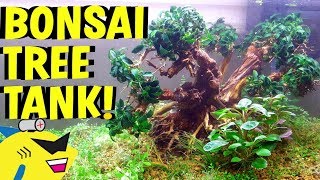 Products Used In This Video: Bonsai Trees! ▻ http://bit.ly/2z978ke Finnex LED ▻ http://amzn.to/2ws75By Aquatek Regulator ▻ http: