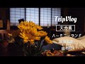 [Trip vlog]年末の家族旅行～ハーモニーランド、筋湯温泉、由布院～[大分県]